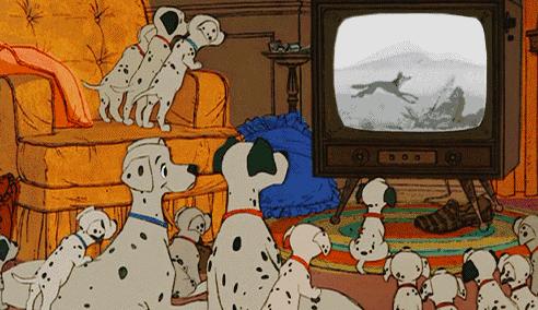 养娃5年，如何让孩子不爱电视，不玩手机？