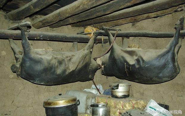 假如世界上真的有丧尸会怎样,如果世界上真的有丧尸