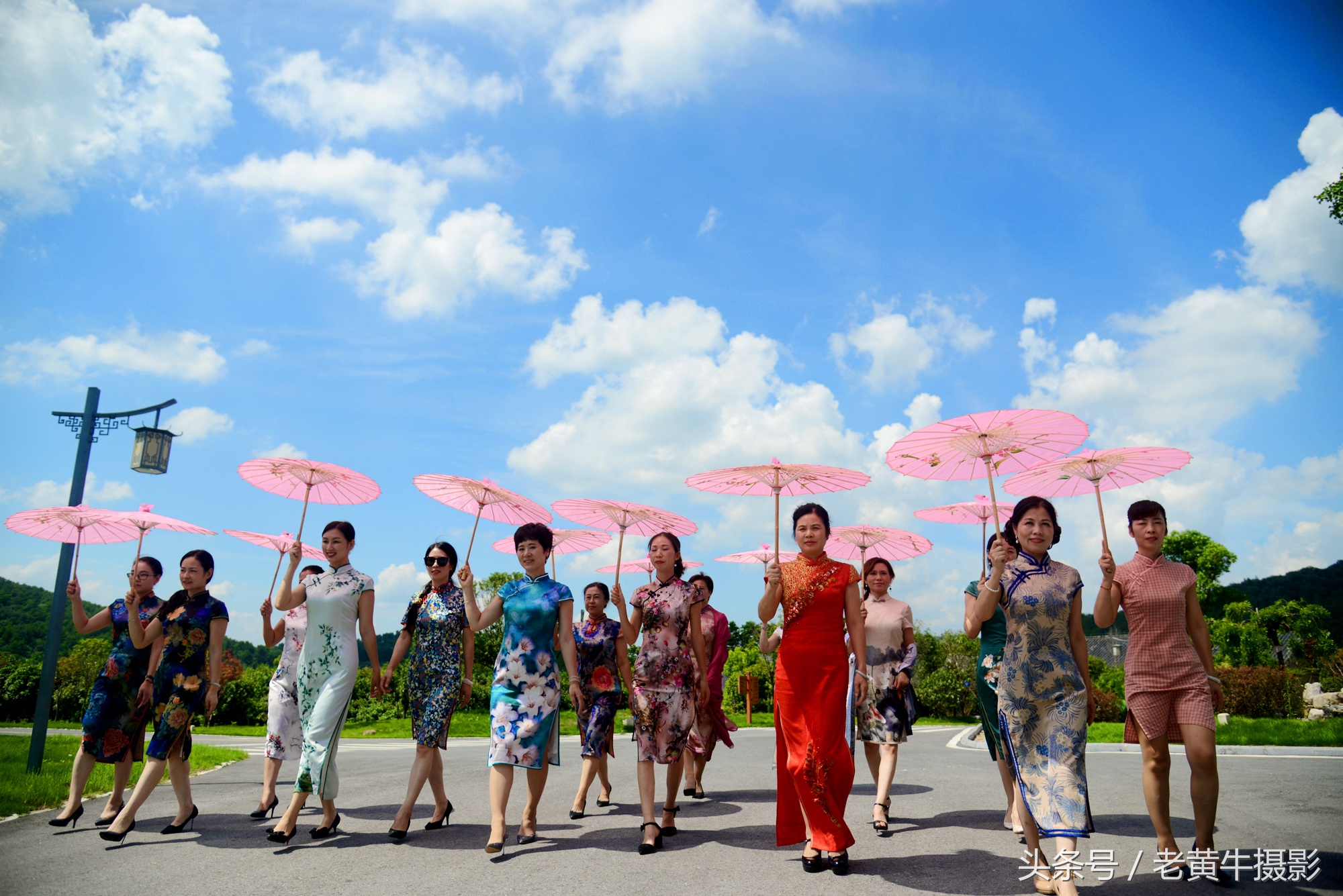 京山老年旗袍秀视频,月季园旗袍走秀