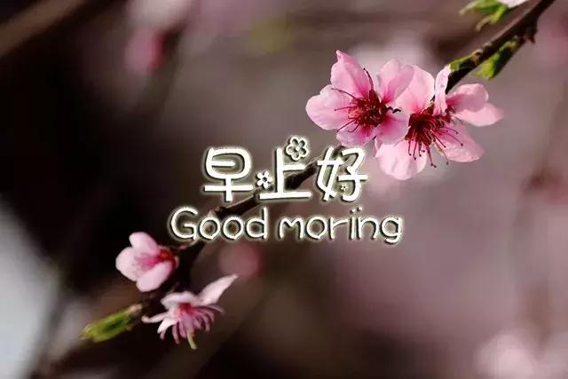 早上好祝福语优美句子图片大全,早上好祝福语优美句子冬天