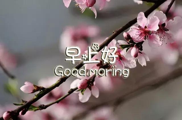 早上好祝福语优美句子图片大全,早上好祝福语优美句子冬天