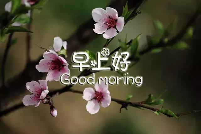 早上好祝福语优美句子图片大全,早上好祝福语优美句子冬天