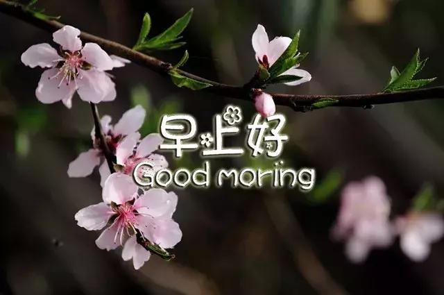 早上好祝福语优美句子图片大全,早上好祝福语优美句子冬天