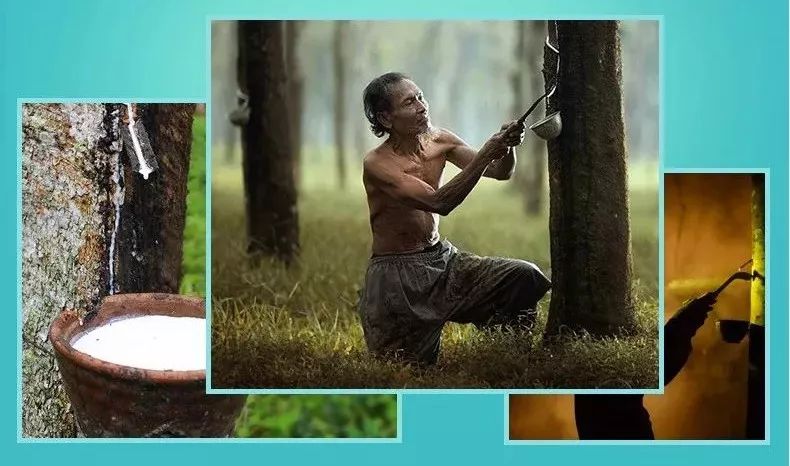 乳胶枕泰国原产,乳胶枕泰国的最好吗