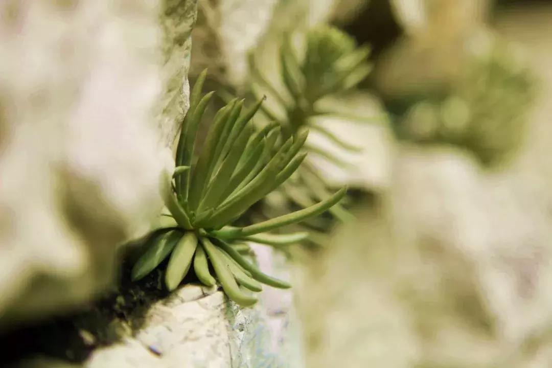 井陉这个村不输于家石头村,去了你就不想走!