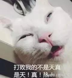 淄博停电通知最新信息,停电通知山东淄博市