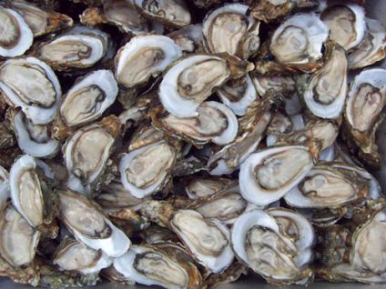 十块钱玩遍南京,不花一分钱玩遍深圳