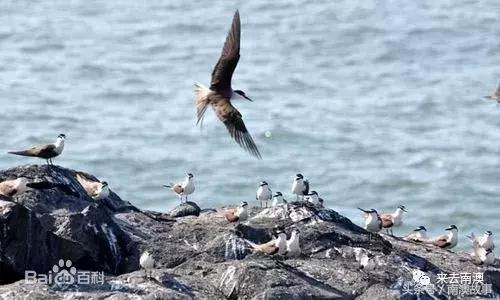 这座小岛究竟隐藏了多少秘密,一座鲜为人知的隐藏小岛