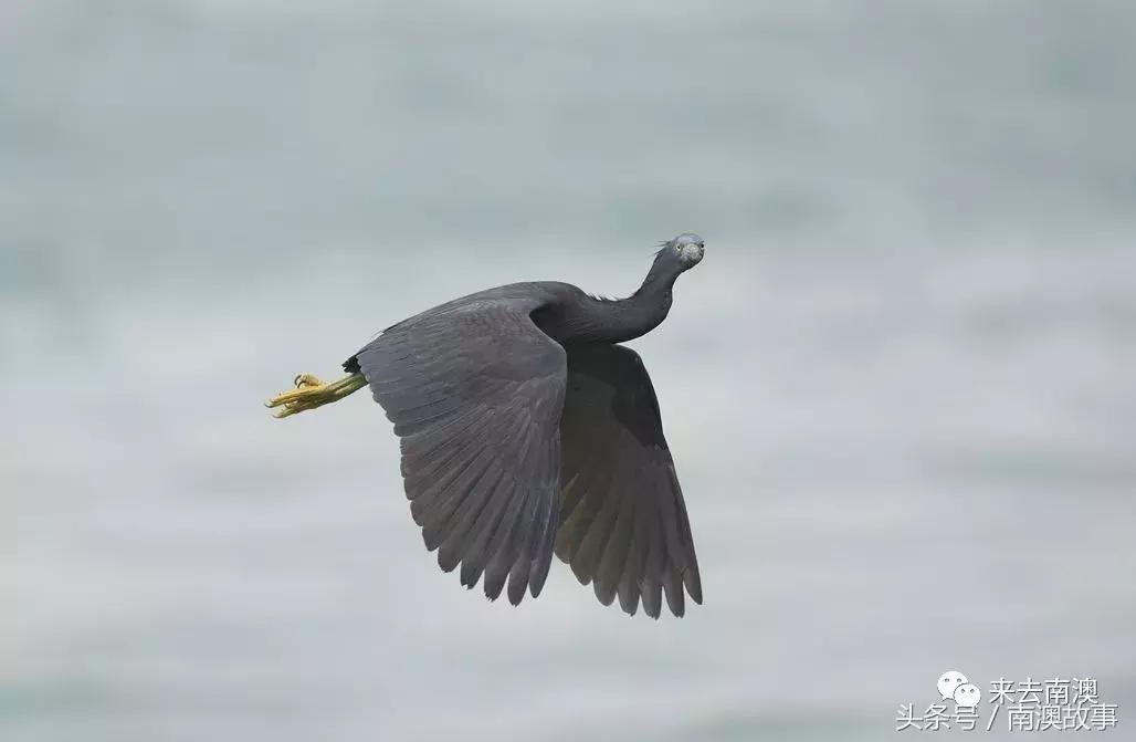 这座小岛究竟隐藏了多少秘密,一座鲜为人知的隐藏小岛