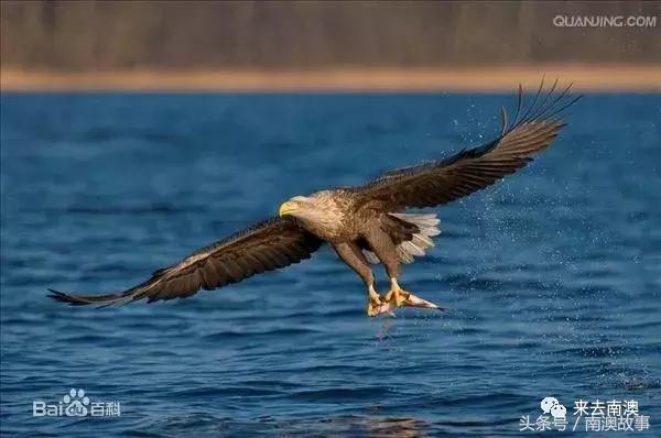 这座小岛究竟隐藏了多少秘密,一座鲜为人知的隐藏小岛