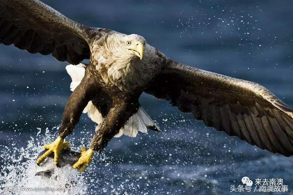 这座小岛究竟隐藏了多少秘密,一座鲜为人知的隐藏小岛