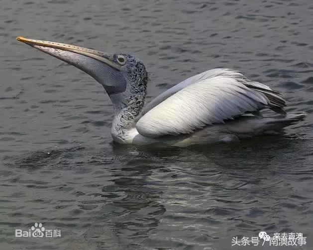 这座小岛究竟隐藏了多少秘密,一座鲜为人知的隐藏小岛