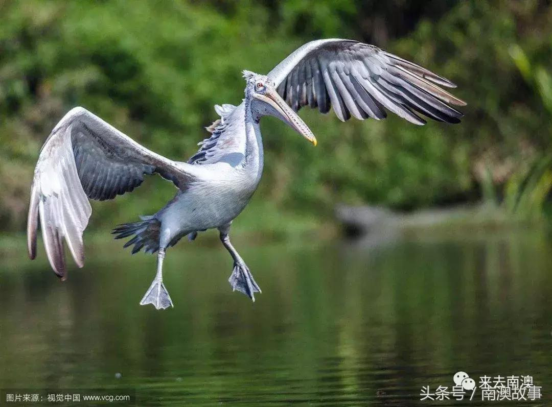 这座小岛究竟隐藏了多少秘密,一座鲜为人知的隐藏小岛