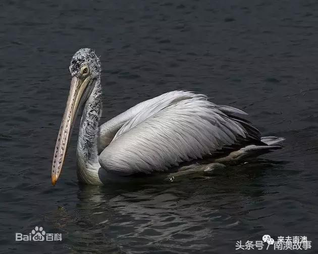 这座小岛究竟隐藏了多少秘密,一座鲜为人知的隐藏小岛