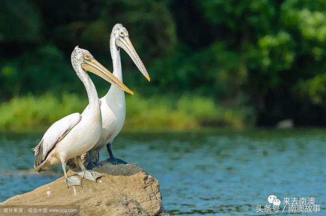 这座小岛究竟隐藏了多少秘密,一座鲜为人知的隐藏小岛
