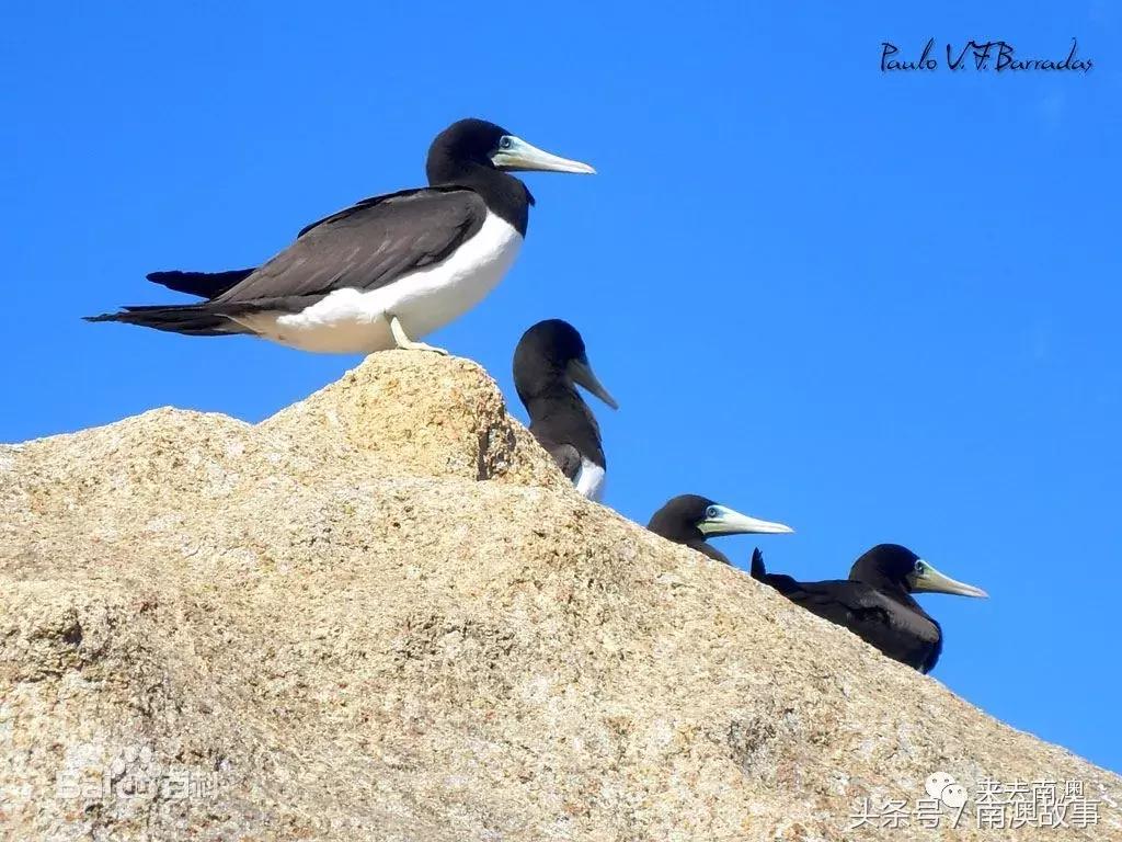 这座小岛究竟隐藏了多少秘密,一座鲜为人知的隐藏小岛