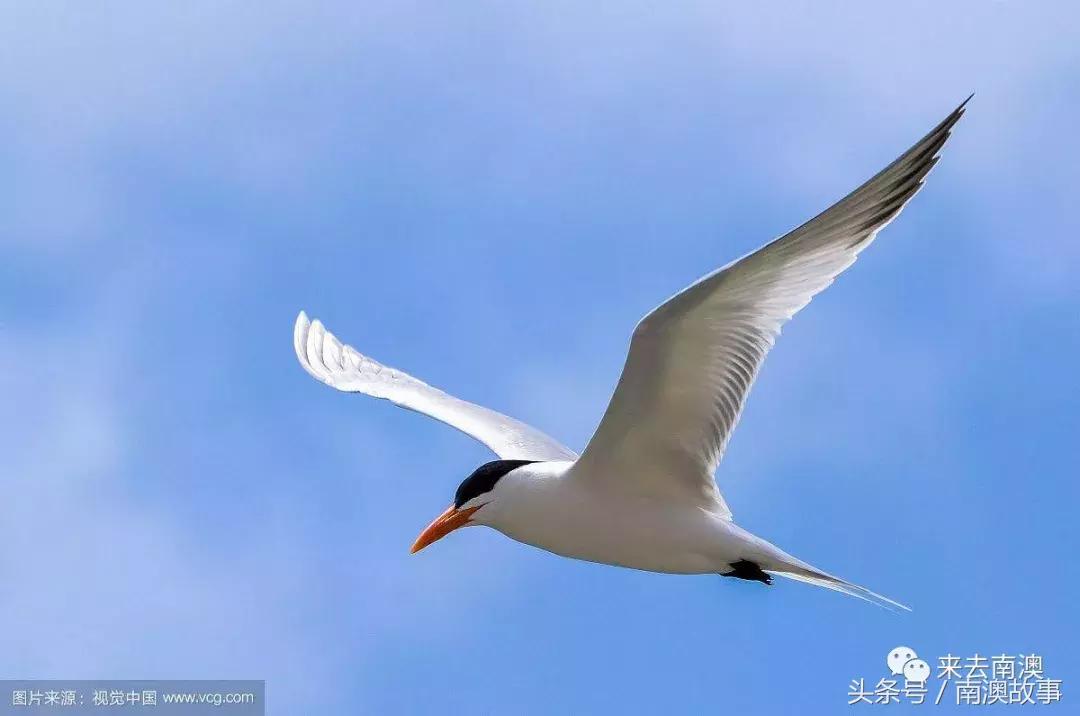 这座小岛究竟隐藏了多少秘密,一座鲜为人知的隐藏小岛