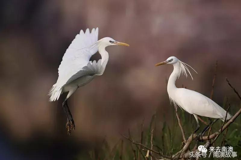 这座小岛究竟隐藏了多少秘密,一座鲜为人知的隐藏小岛