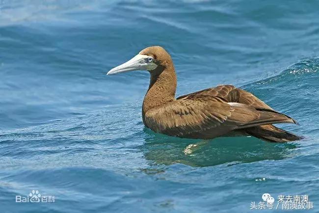 这座小岛究竟隐藏了多少秘密,一座鲜为人知的隐藏小岛