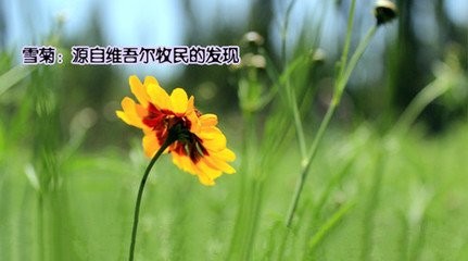 神奇维药年销售破亿，没想到它也是名贵维药