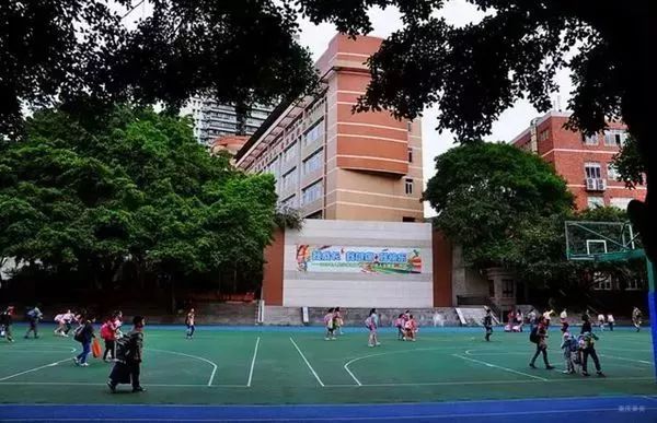 重庆渝中区求精中学对口小学,重庆实验外国语学校对口小学