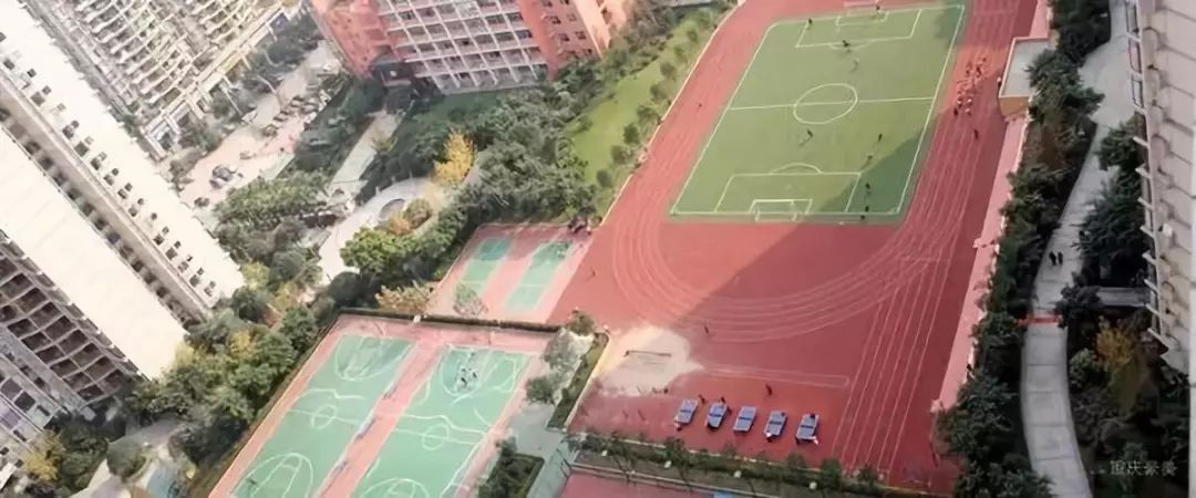 重庆渝中区求精中学对口小学,重庆实验外国语学校对口小学