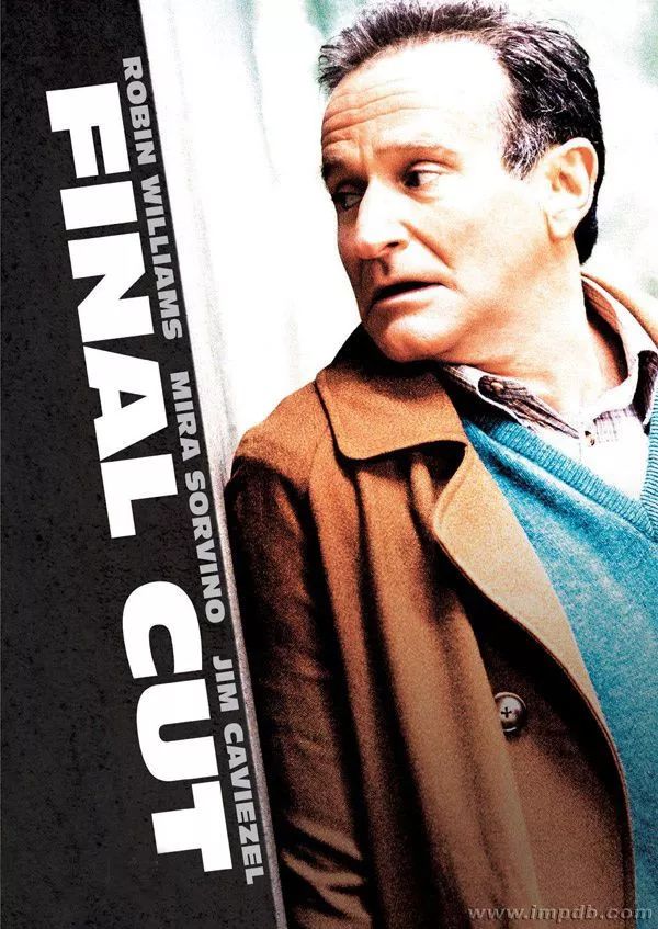 好莱坞评价中国科幻,好莱坞明星对功夫评价