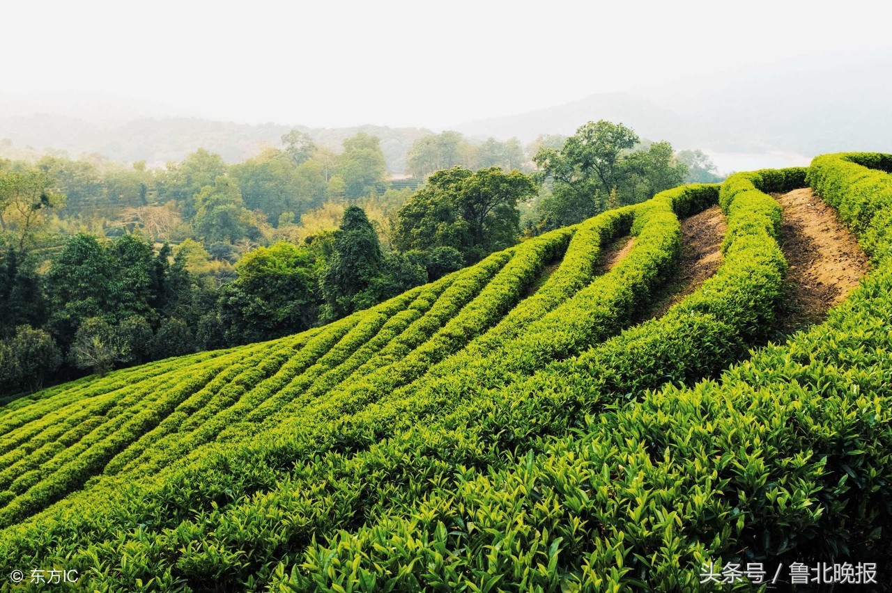 山东一村一品名单,山东省第三批乡村振兴示范村名单