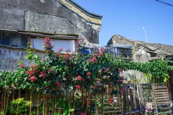 潮州网红打卡地绿太阳,来潮州必须打卡的景点全部