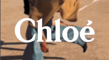 武汉米其林一级餐厅,武汉米其林星级标准餐厅