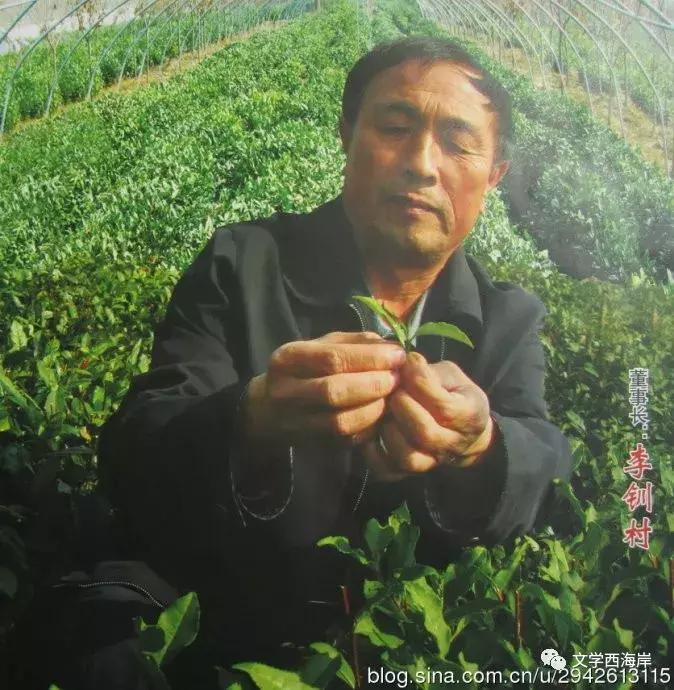 阅读纪｜老李的土地物语（外三篇）