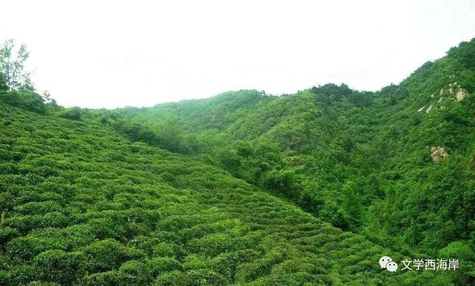 阅读纪｜老李的土地物语（外三篇）