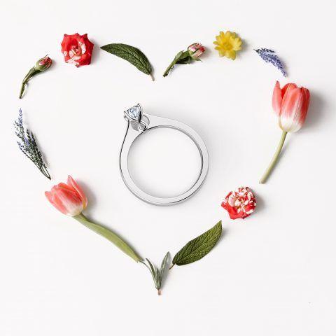 Forevermark夏日新娘，严选全球只有不足百分之一的钻石