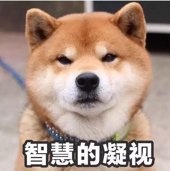 去香港超过7天了罚款吗,到香港没带港澳证会罚款吗