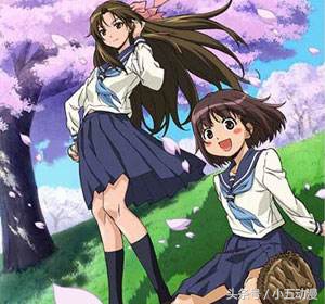 盘点球类,全部球类大盘点