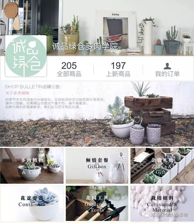 多肉淋雨之后掉叶片该怎么救治,多肉淋雨后可以用吹风机吹干吗