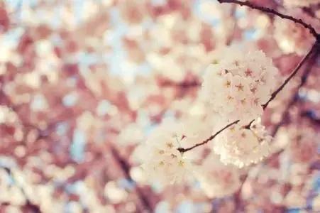 我不是药神到底被高估了吗,我不是药神的十个细节