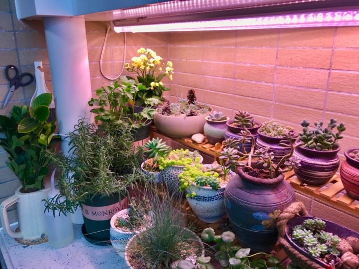 全屋实木家具布置 (家里装修设计实木家具)