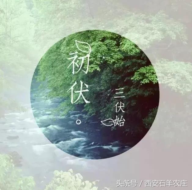 低温天气烧烤模式已开启,入伏第一天天气炎热注意防暑