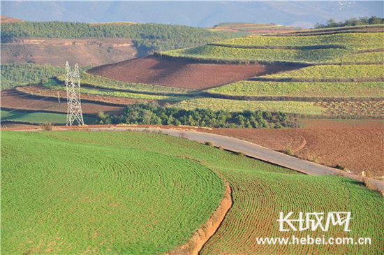 鏈変簡鐢扮瀹跺啘鎴锋洿澧炴敹,鍦熷湴鏈変簡鐢扮瀹跺啘姘戣交鏉惧綋鎺屾煖
