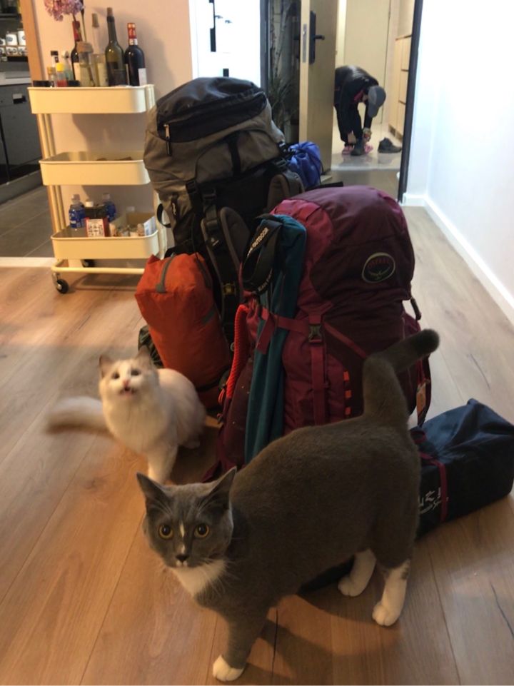 全屋实木家具布置 (家里装修设计实木家具)