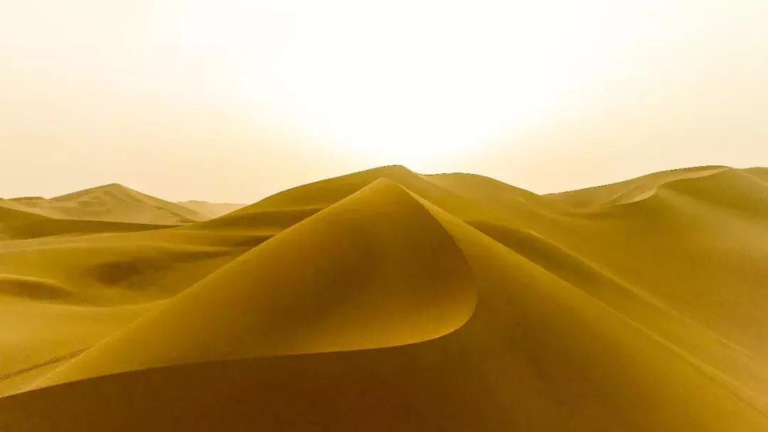 沙漠里把车开到起飞，这才是男人该玩的游戏｜远途心路