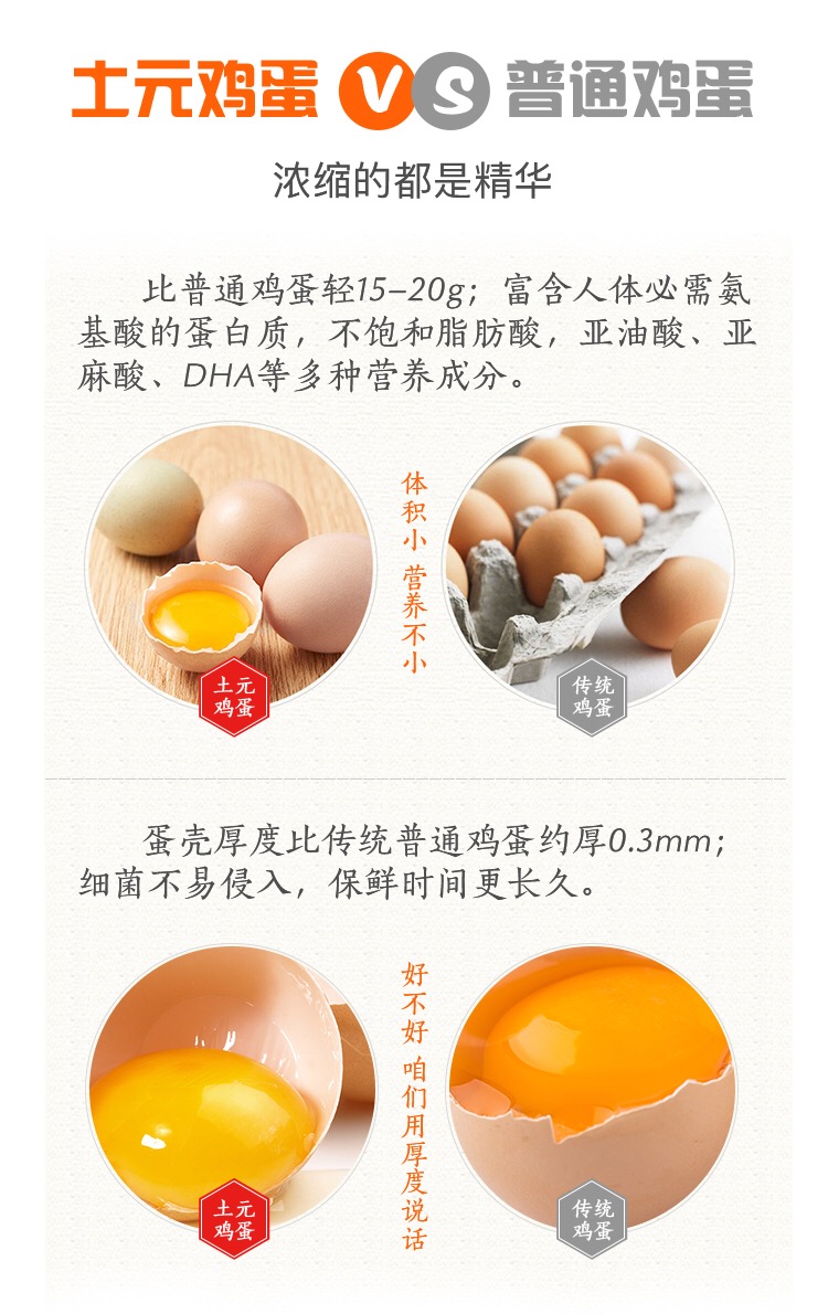 土元鸡蛋的功效与作用,土元炒鸡蛋功效与作用