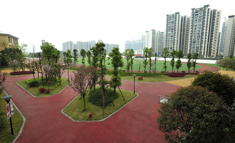 办学4年，看不尽的风光，数不尽的蜕变高新新华学校变了！