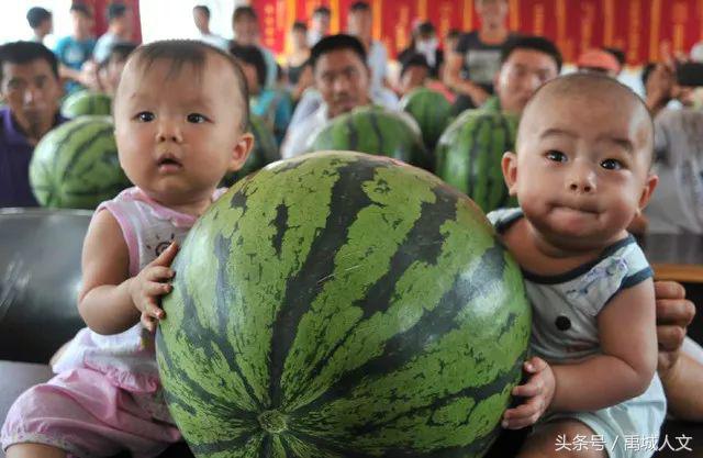 禹城网红西瓜节,辛店沙河西瓜节