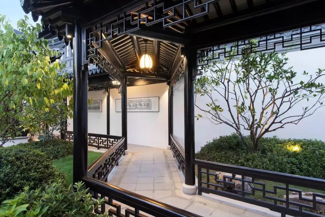 义乌这地方太惊艳！2880只瓷碗铺地，30万元一株的羽毛枫，近百万元一棵的黑松……