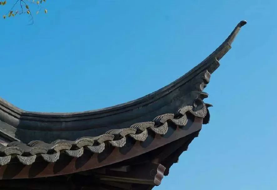 义乌这地方太惊艳！2880只瓷碗铺地，30万元一株的羽毛枫，近百万元一棵的黑松……