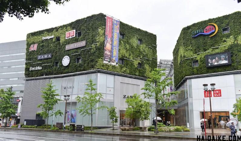 francfranc鏃ユ湰涓滀含搴楅摵,鏃ユ湰绂忓唸chiikawa鍦ㄥ摢閲屼拱