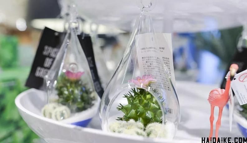 francfranc鏃ユ湰涓滀含搴楅摵,鏃ユ湰绂忓唸chiikawa鍦ㄥ摢閲屼拱