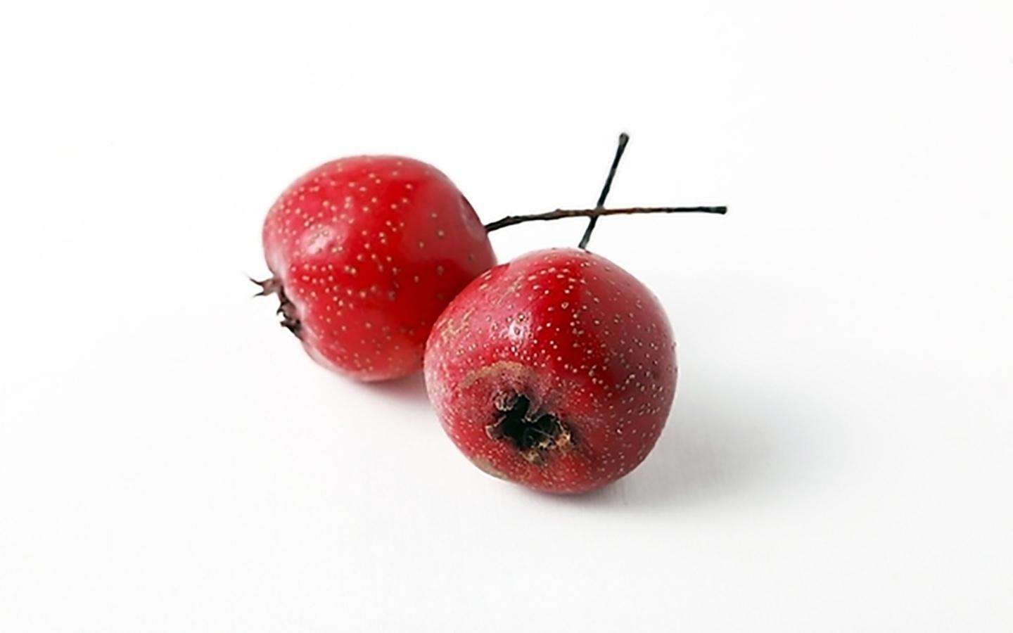 枸杞配什么喝能阴阳同补,枸杞配什么阴阳双补效果好